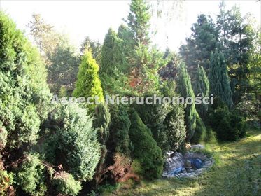 Dom na wynajem Ruda Śląska, Wirek 125m2 Foto 7
