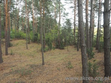 działka na sprzedaż 2258m2 działka Stawinoga