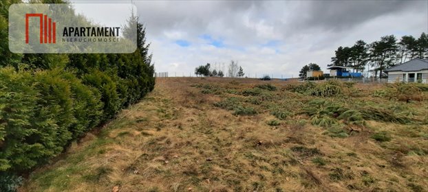 Zapraszam do zakupu działki 2120 m² z możliwością podziału i ogrodnictwa działka Dąbrówka Nowa