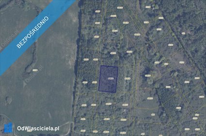 działka na sprzedaż 3020m2 działka Pręgowo