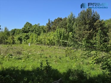 działka na sprzedaż 1000m2 działka Wisełka, Ustronie Leśne