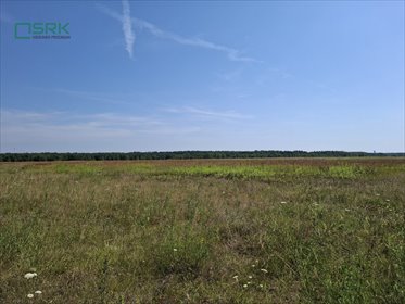 Inwestycyjne działki w Gierałtowicach, 47 ha, asfalt działka Gierałtowice, Gierałtowice, Kłodnicka