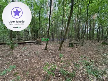 Na sprzedaż działka 1200 m² w Nadarzynie z mediami działka Nadarzyn