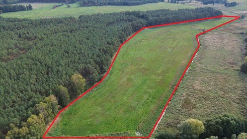 Na sprzedaż działka 46 300 m² pod lasem w Łęgach działka Łęgi