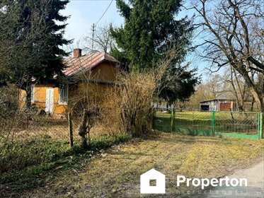 Zapraszam do zakupu działki 5000 m² w Kaliszany-Kolonia działka Kaliszany-Kolonia