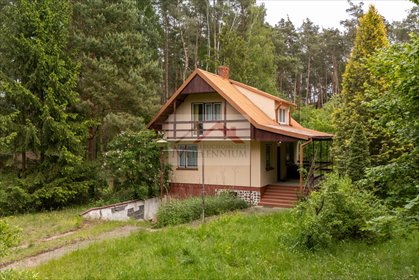 Działka z domem 76,8 m2, las, kajaki, Borkowo działka Borkowo, Leśna