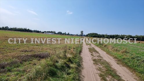 działka na sprzedaż 2650m2 działka Konradowo