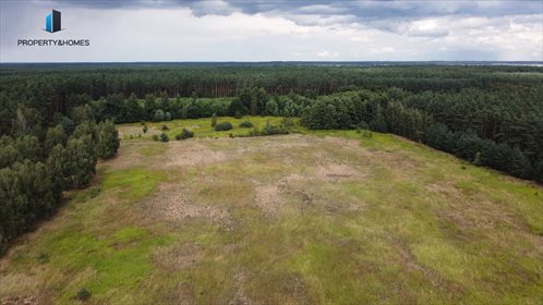 Działka rolna na sprzedaż Miłocice Małe 70 700m2 Foto 6