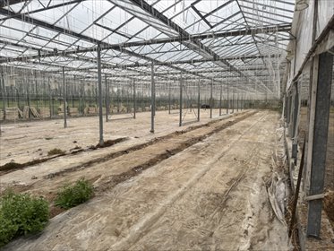 magazyn na wynajem 3500m2 magazyn Łódź