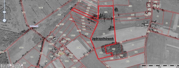 Duża działka rolna 12,1 ha z prądem i dojazdem utwardzonym działka Jędrzychówek