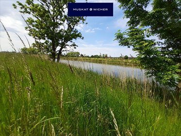 Działka nad Wisłą Królewiecką z możliwością rozwoju biznesu. działka Sztutowo