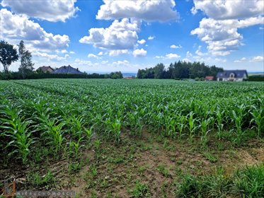 Sprzedam działkę 1000 m² w Górnej Wsi z widokiem i dostępem do mediów działka Górna Wieś