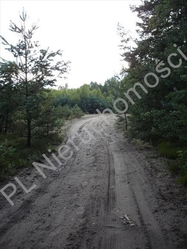Działka leśna na sprzedaż Ołdakowizna 7 774m2 Foto 5