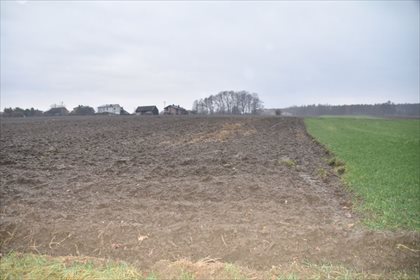 Działka budowlana na sprzedaż Łuków Śląski 3 750m2 Foto 4
