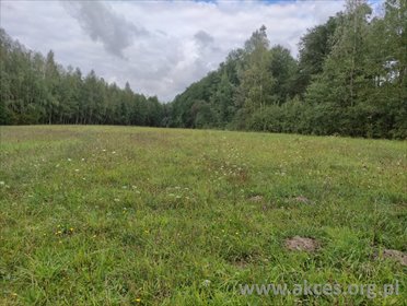 działka na sprzedaż 11450m2 działka Obręb