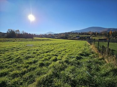 działka na sprzedaż 1929m2 działka Lipowa