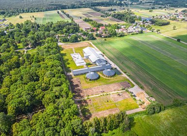 działka na sprzedaż 28600m2 działka Poświętne, Krubki Górki