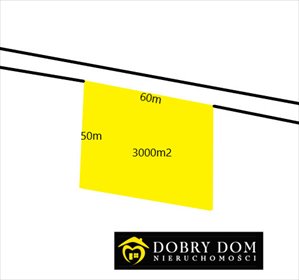 działka na sprzedaż 3000m2 działka Wasilków