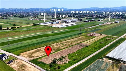 działka na sprzedaż 10000m2 działka Chochorowice