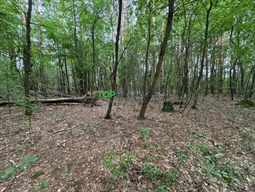 Działka budowlana 1200 m2 w Nadarzynie - spokojna okolica. działka Nadarzyn