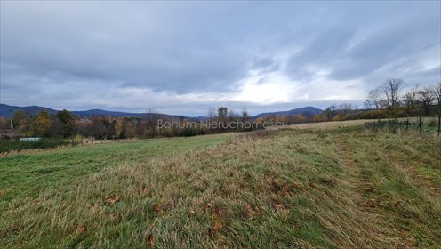 Działka budowlana na sprzedaż Dębowina 3 280m2 Foto 1