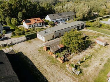 działka na sprzedaż 9653m2 działka Aleksandrów Łódzki