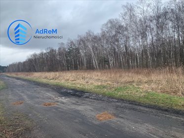 działka na sprzedaż 10580m2 działka Nowy Prażmów