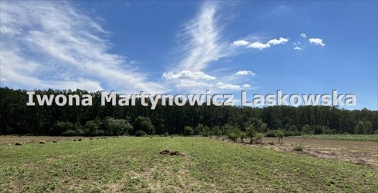 działka na sprzedaż Chocianowiec 2600 m2