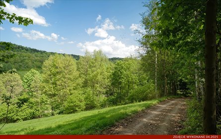 Działka na sprzedaż 2000m2 działka Konradów