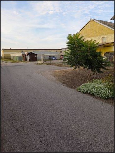 magazyn na sprzedaż 7800m2 magazyn Marcinkowo