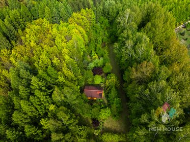 dom na sprzedaż 25m2 dom Kierwiny