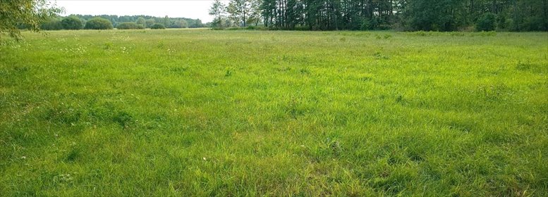 działka na sprzedaż 2000m2 działka Czubajowizna