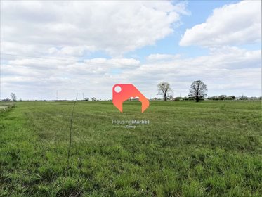 działka na sprzedaż 1000m2 działka Olimpin