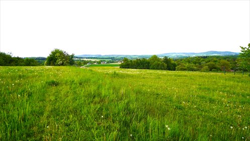 działka na sprzedaż 1540m2 działka Stróżna