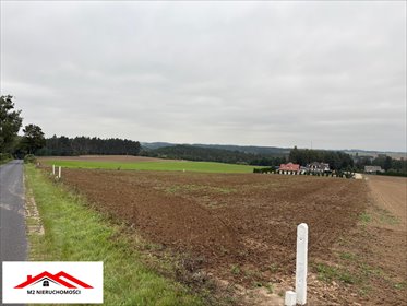 Działki budowlane w spokojnej okolicy, media w sąsiedztwie działka Bartniczka, Bartniczka