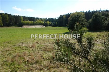 Działka rolna na sprzedaż Zajączkowo 70 600m2 Foto 4