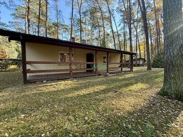 Działka z domkiem letniskowym 1009 m² w Sokolnikach-Las działka Sokolniki-Las, Mikołaja Kopernika