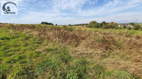 działka na sprzedaż 2940m2 działka Sąspów