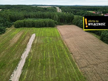 działka na sprzedaż 1292m2 działka Ludynia