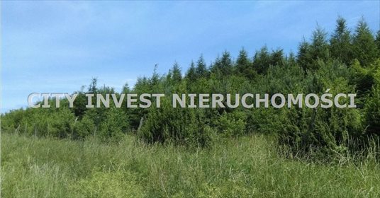 działka na sprzedaż 105000m2 działka Cybinka