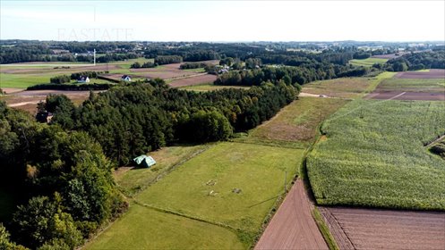 działka na sprzedaż 1000m2 działka Kowalewo, Na Zagajnik
