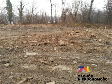 Działka przemysłowo-handlowa na sprzedaż Jasień 29 430m2 Foto 4