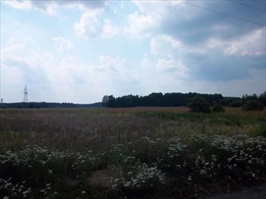 działka na sprzedaż 15063m2 działka Radnica