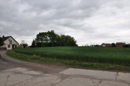Działka inna na sprzedaż Gniszewo 6 695m2 Foto 4
