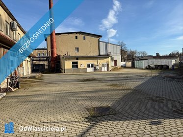 lokal użytkowy na sprzedaż 7502m2 lokal użytkowy Prudnik