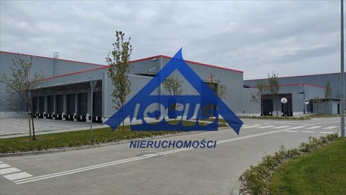 Zapraszam do wynajmu nowoczesnego magazynu 1500 m² z biurami w Warszawie magazyn Warszawa, Białołęka