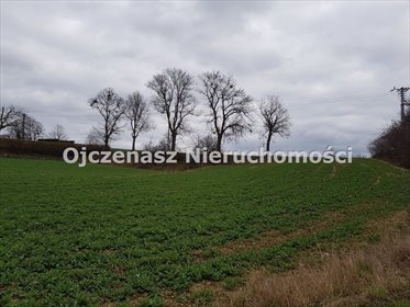 działka na sprzedaż 3500m2 działka Salno