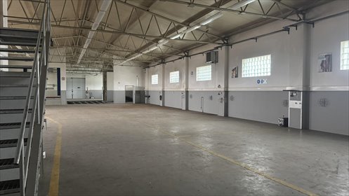 Polecam wielofunkcyjną nieruchomość 3,5 ha z halą i domem w Brzeźniku lokal użytkowy Brzeźnik, al. Główna