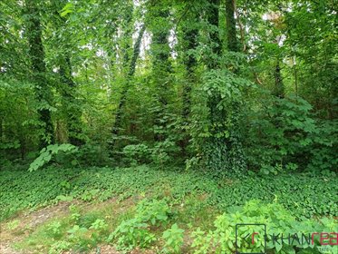 działka na sprzedaż 1875m2 działka Sękocin-Las, Wierzbowa