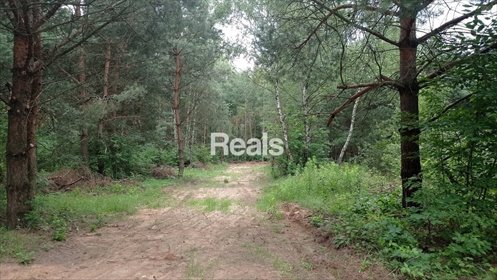 działka na sprzedaż 3097m2 działka Pieńki Osuchowskie